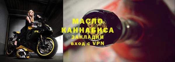 прущие грибы Михайлов