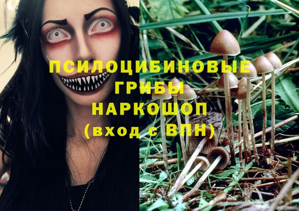 дурь Алзамай