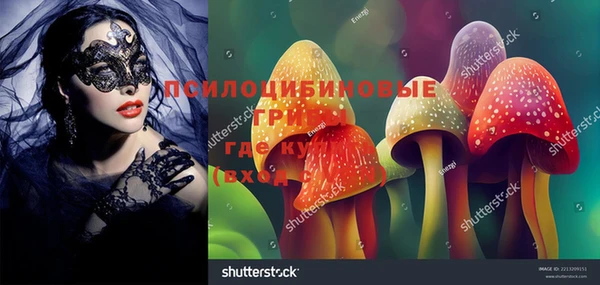 дурь Алзамай